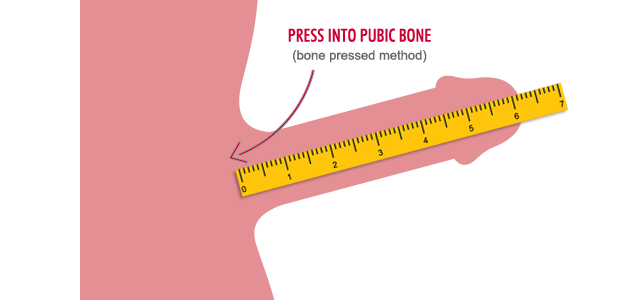 Measure Penis Size