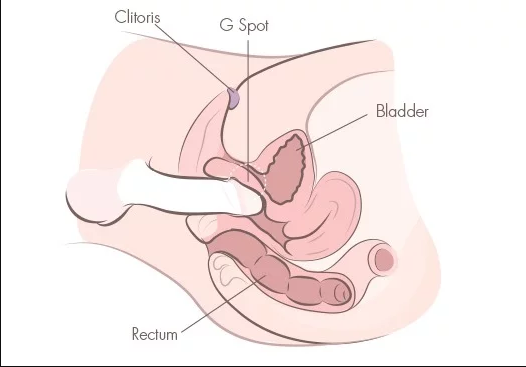 how-to-squirt-g-spot-angle1