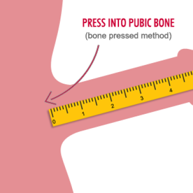 How To Correctly Measure Penis Size